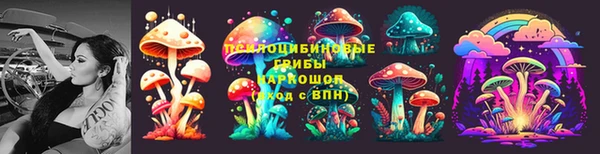 прущая мука Алзамай