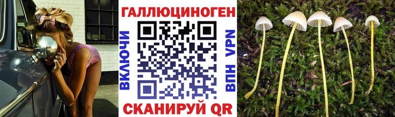 Галлюциногенные грибы Cubensis  что такое наркотик  Ивангород 